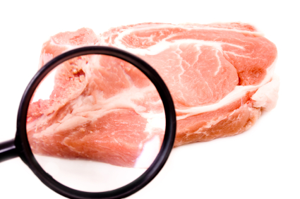 Meat under magnifying  glass